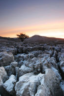 07-0781 Karst Landscape and Ingleborough Hill in Dawn Winter Light from Scales Moor. North Yorkshire